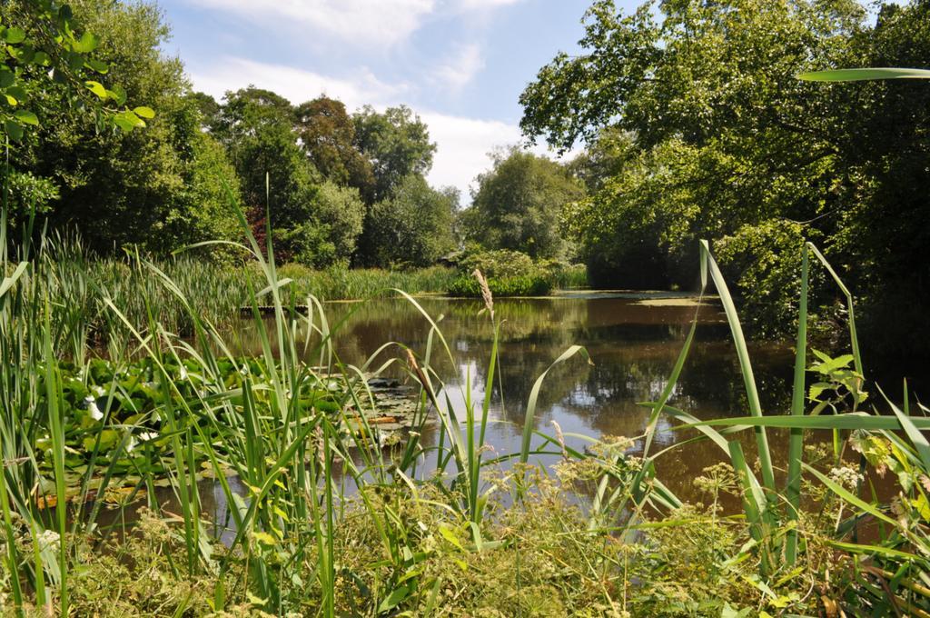 Willa Sheldon Barn Bideford Zewnętrze zdjęcie